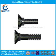 China Supplier DIN608 Stainless Steel Dacromet/HDG/Zinc Plated Counter Sunk Square Neck Bolt /Carriage Bolt